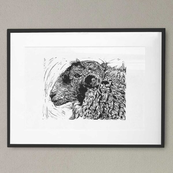 Sheep - Image 2