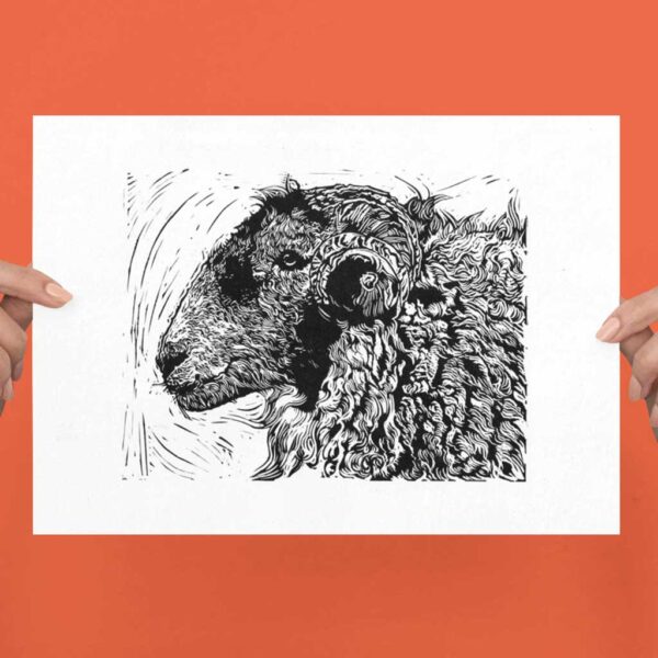 Sheep - Image 3