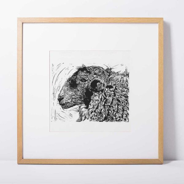 Sheep - Image 4
