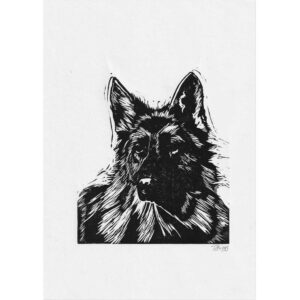 German shepherd