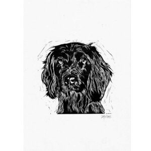 Spaniel (springer)