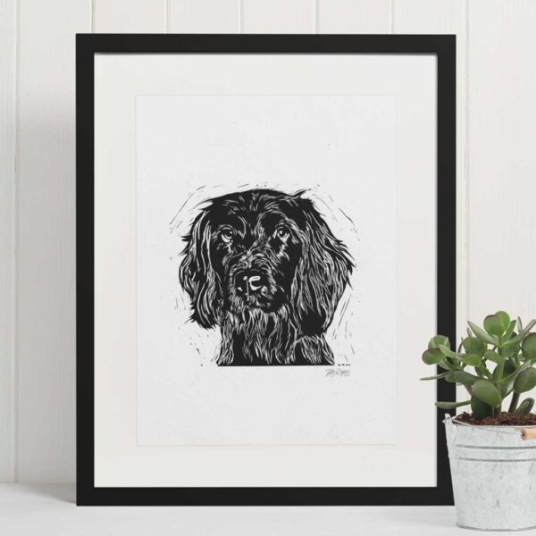 Spaniel (springer) - Image 2