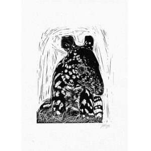 MalayanTapir