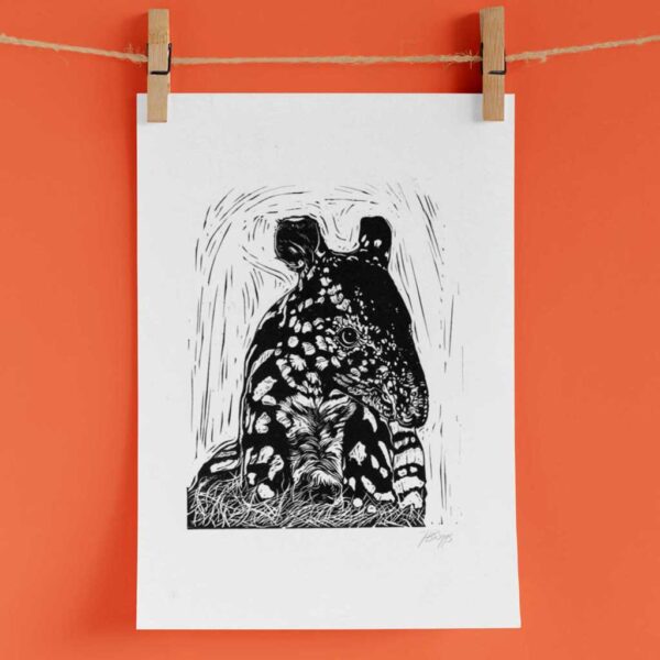 MalayanTapir - Image 3