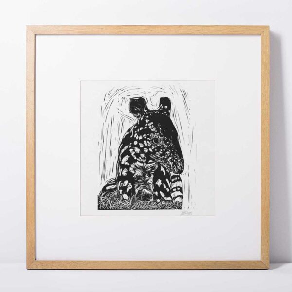 MalayanTapir - Image 4