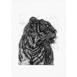 Tiger 2