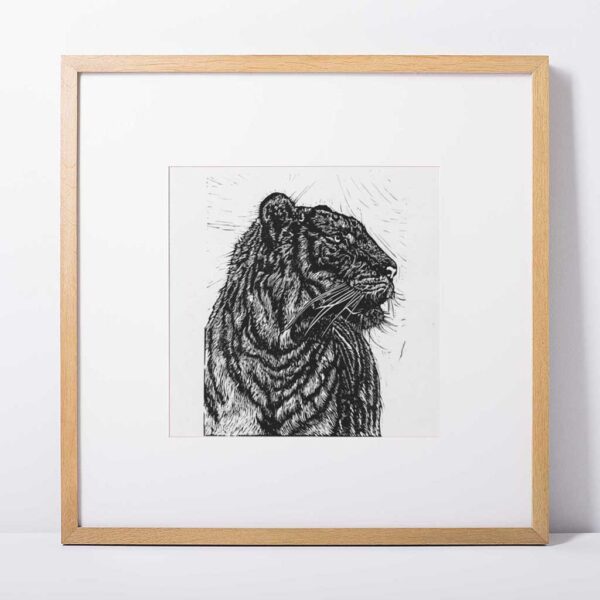 Tiger 2 - Image 4