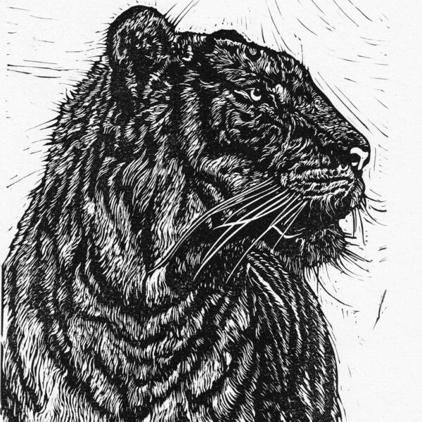 Tiger 2 - Image 5