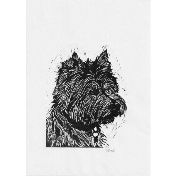Westie