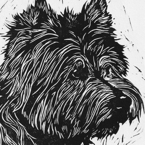 Westie - Image 2