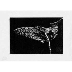 Whale