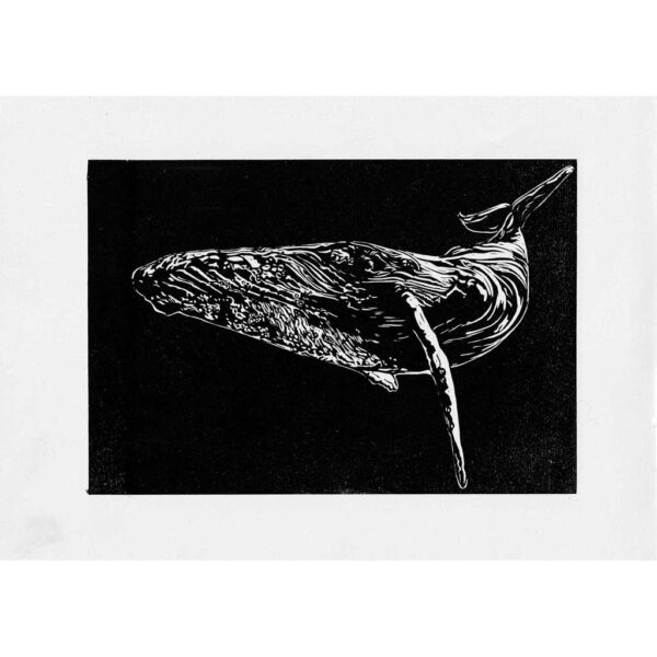 Whale