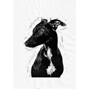 Whippet