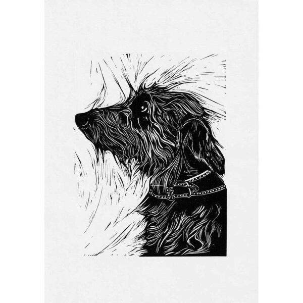 Bedlington whippet