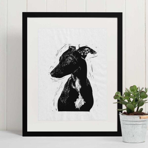 Whippet - Image 5