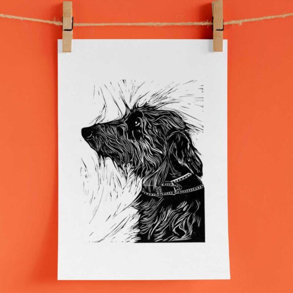 Bedlington whippet - Image 2