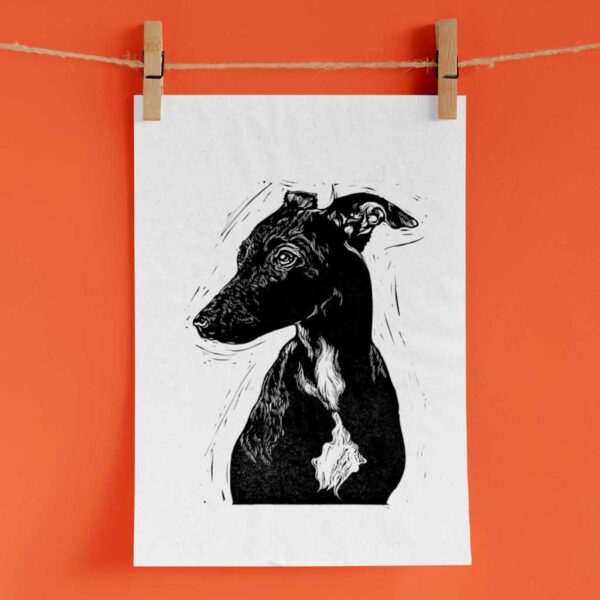 Whippet - Image 4
