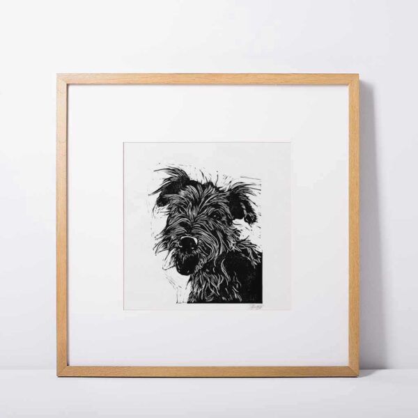 Yorkshire terrier - Image 5