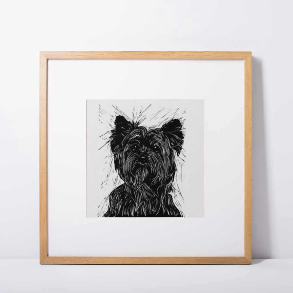 Yorkshire terrier - Image 5