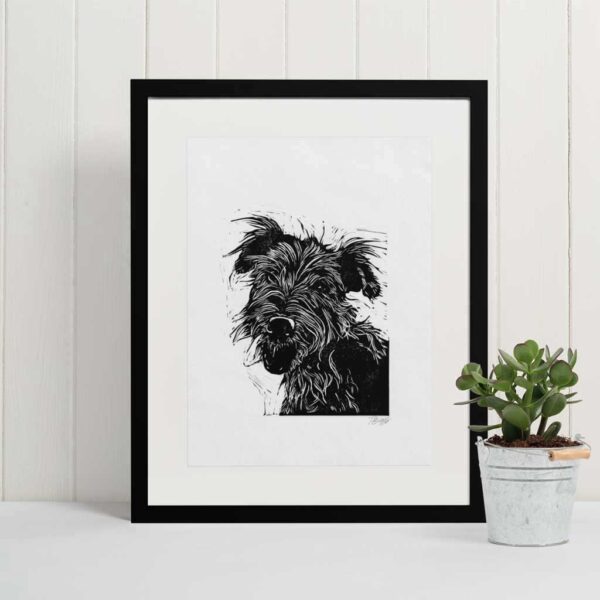 Yorkshire terrier - Image 3