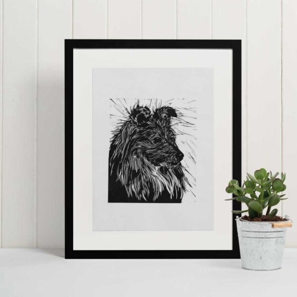 Sheltie - Image 3