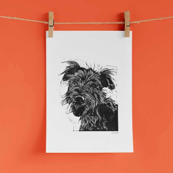 Yorkshire terrier - Image 4