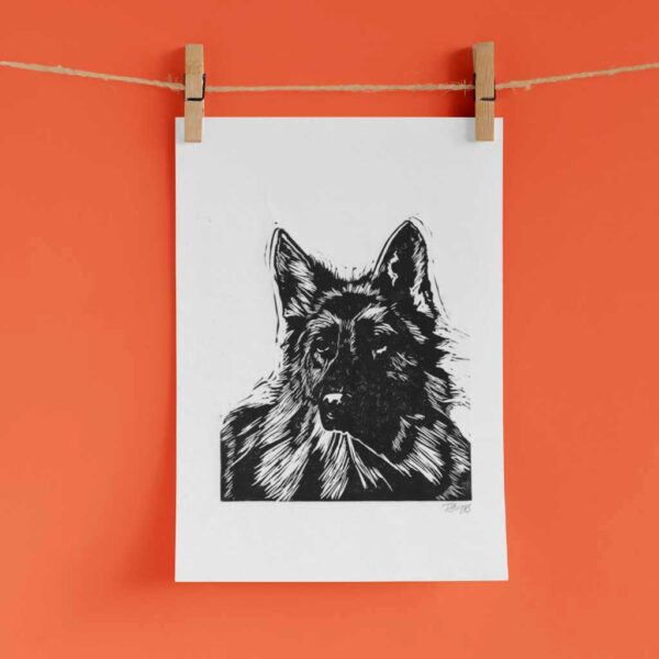 German shepherd - Image 4