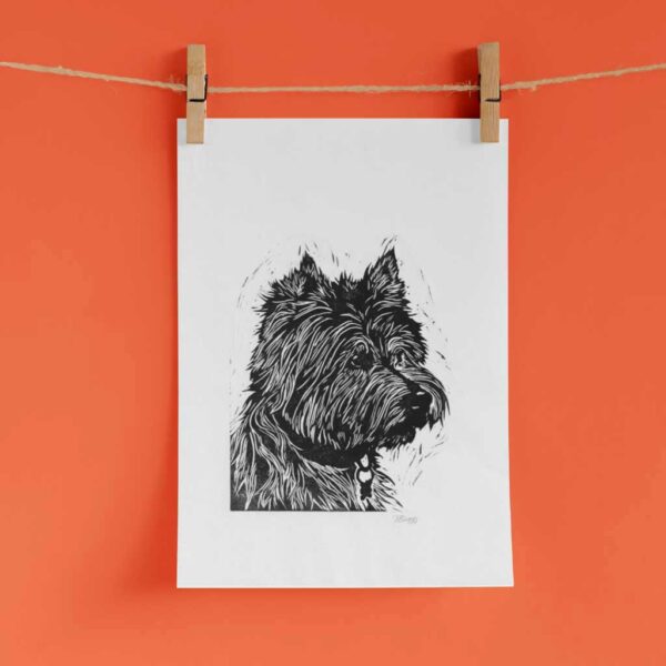 Westie - Image 4